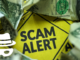 scam-alert